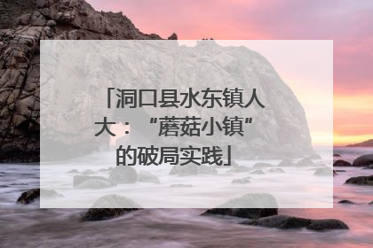 洞口县水东镇人大：“蘑菇小镇”的破局实践