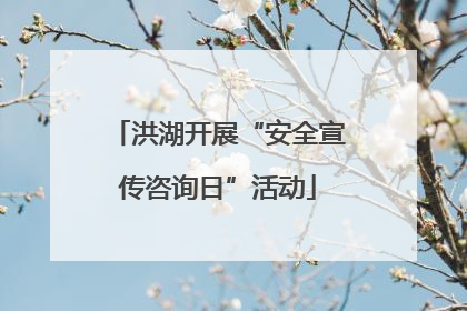 洪湖开展“安全宣传咨询日”活动