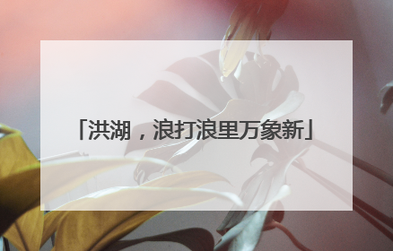 洪湖，浪打浪里万象新