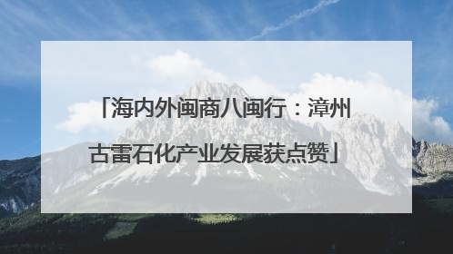 海内外闽商八闽行：漳州古雷石化产业发展获点赞