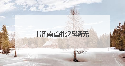 济南首批25辆无人快递车正式上路