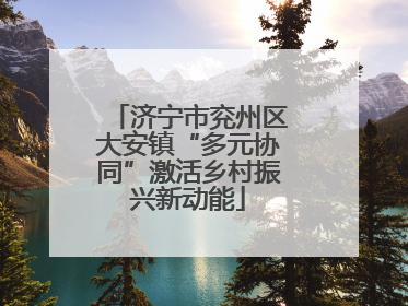 济宁市兖州区大安镇“多元协同”激活乡村振兴新动能