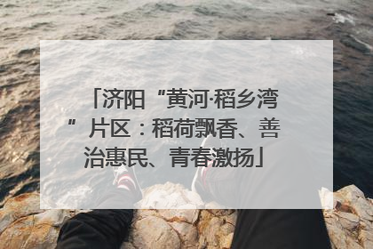 济阳“黄河·稻乡湾”片区：稻荷飘香、善治惠民、青春激扬
