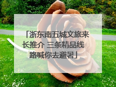 浙东南五城文旅来长推介 三条精品线路喊你去避暑