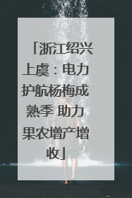 浙江绍兴上虞：电力护航杨梅成熟季 助力果农增产增收