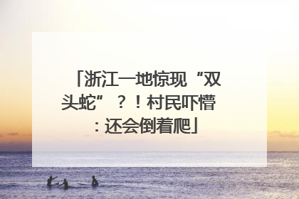浙江一地惊现“双头蛇”？！村民吓懵：还会倒着爬