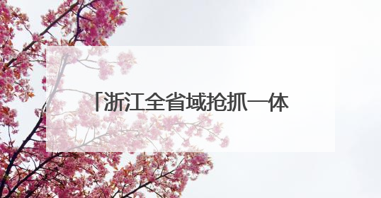 浙江全省域抢抓一体化发展新机遇②：创新热土共育新质生产力