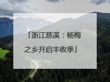 浙江慈溪：杨梅之乡开启丰收季