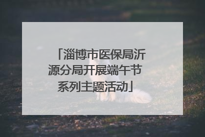 淄博市医保局沂源分局开展端午节系列主题活动