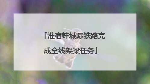 淮宿蚌城际铁路完成全线架梁任务
