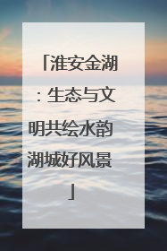 淮安金湖：生态与文明共绘水韵湖城好风景