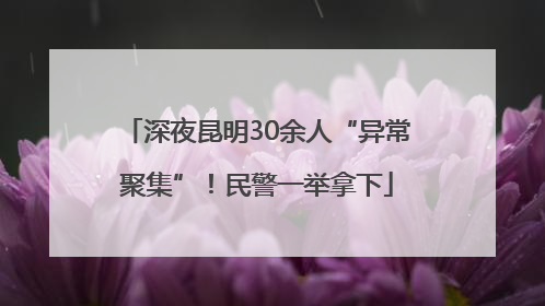 深夜昆明30余人“异常聚集”！民警一举拿下