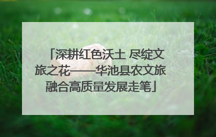 深耕红色沃土 尽绽文旅之花——华池县农文旅融合高质量发展走笔