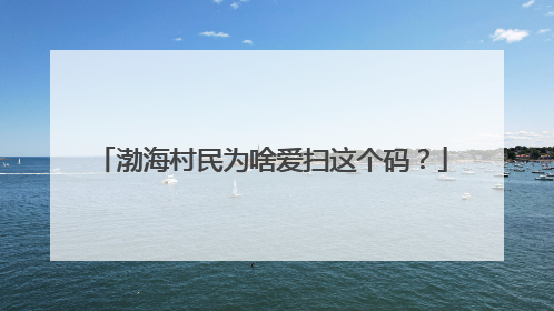 渤海村民为啥爱扫这个码？