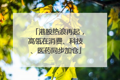 港股热浪再起，高瓴在消费、科技、医药同步加仓
