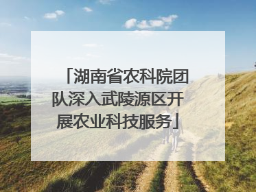 湖南省农科院团队深入武陵源区开展农业科技服务
