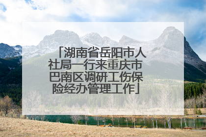 湖南省岳阳市人社局一行来重庆市巴南区调研工伤保险经办管理工作