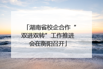 湖南省校企合作“双进双转”工作推进会在衡阳召开