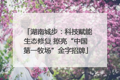 湖南城步：科技赋能生态修复 擦亮“中国第一牧场”金字招牌
