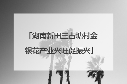 湖南新田三占塘村金银花产业兴旺促振兴