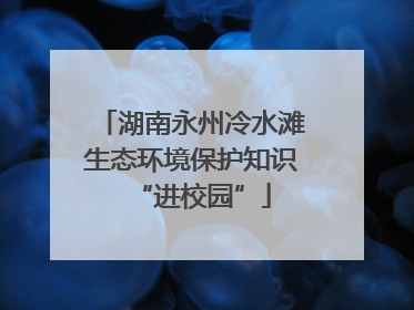 湖南永州冷水滩生态环境保护知识“进校园”