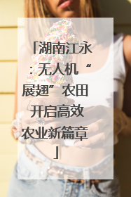 湖南江永：无人机“展翅”农田 开启高效农业新篇章