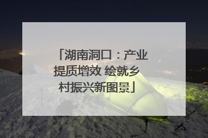湖南洞口：产业提质增效 绘就乡村振兴新图景