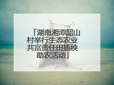 湖南湘潭韶山村举行生态农业共富责任田插秧助农活动