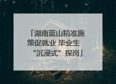 湖南蓝山精准施策促就业 毕业生“沉浸式”探岗