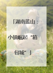 湖南蓝山：小镇崛起“箱包城”