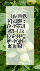 湖南铁科职院：企业家进校园 政校企共绘就业创业新图景