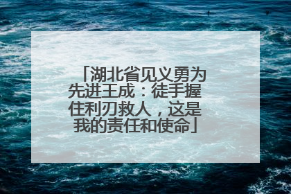湖北省见义勇为先进王成：徒手握住利刃救人，这是我的责任和使命
