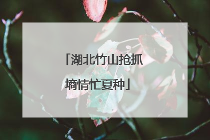 湖北竹山抢抓墒情忙夏种