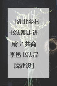 湖北乡村书法潮走进咸宁 共商李邕书法品牌建设