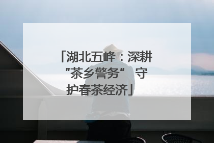 湖北五峰：深耕“茶乡警务” 守护春茶经济