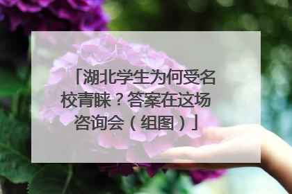 湖北学生为何受名校青睐？答案在这场咨询会（组图）