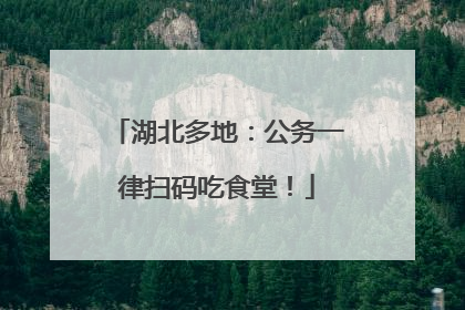 湖北多地：公务一律扫码吃食堂！