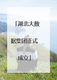 湖北大数据集团正式成立