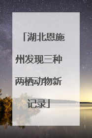 湖北恩施州发现三种两栖动物新记录