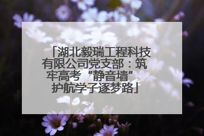 湖北毅瑞工程科技有限公司党支部：筑牢高考“静音墙” 护航学子逐梦路