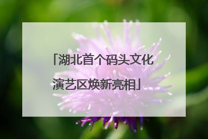 湖北首个码头文化演艺区焕新亮相