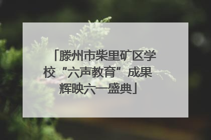 滕州市柴里矿区学校“六声教育”成果辉映六一盛典