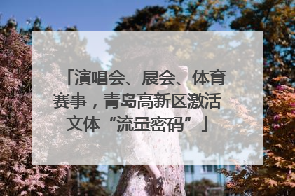 演唱会、展会、体育赛事，青岛高新区激活文体“流量密码”