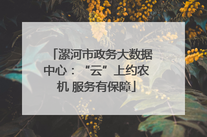 漯河市政务大数据中心：“云”上约农机 服务有保障