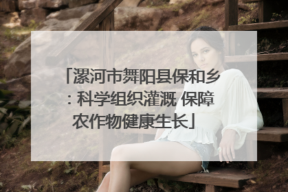 漯河市舞阳县保和乡：科学组织灌溉 保障农作物健康生长