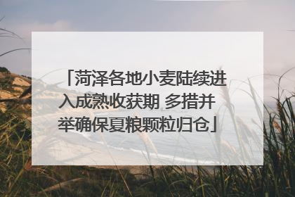 菏泽各地小麦陆续进入成熟收获期 多措并举确保夏粮颗粒归仓