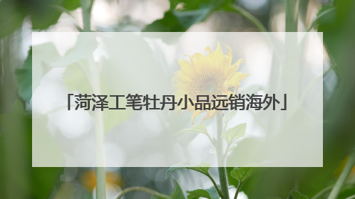 菏泽工笔牡丹小品远销海外