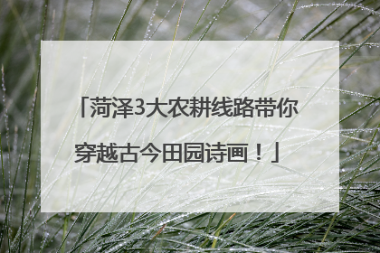 菏泽3大农耕线路带你穿越古今田园诗画！