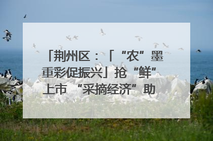 荆州区：「“农”墨重彩促振兴」抢“鲜”上市 “采摘经济”助农“甜蜜增收”