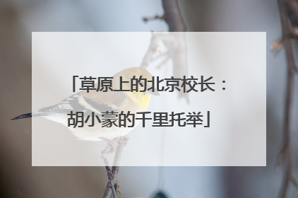 草原上的北京校长：胡小蒙的千里托举